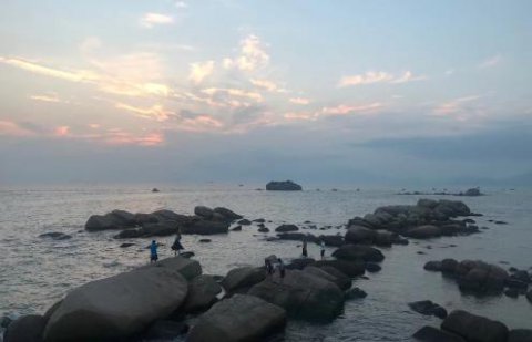 巅峰国际：新的经营模式应当立足在商业模式之上